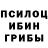 Псилоцибиновые грибы Magic Shrooms Jack Odell